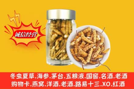 海南琼中县求购回收散虫草