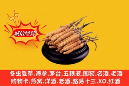 海南琼中县求购回收虫草多少钱每克